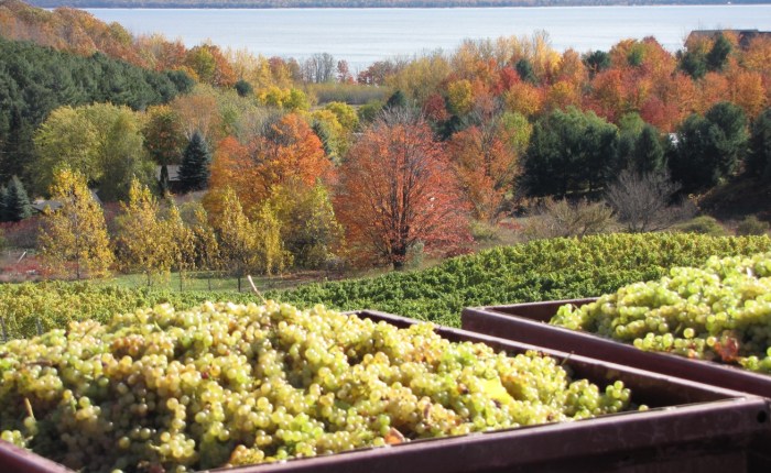 God Is Not Fair And Thank God For&nbsp;That